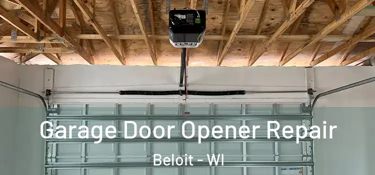  Garage Door Opener Repair Beloit - WI