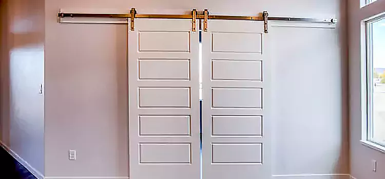 Glass Barn Door with Installation Hardware Kit Beloit